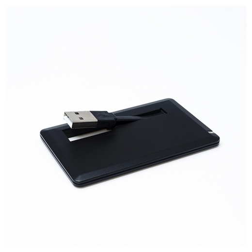 USB KLJUČEK KRAGULJC - slika 2