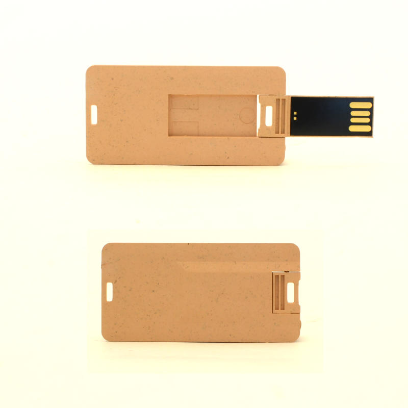 USB KARTICA TOPOL