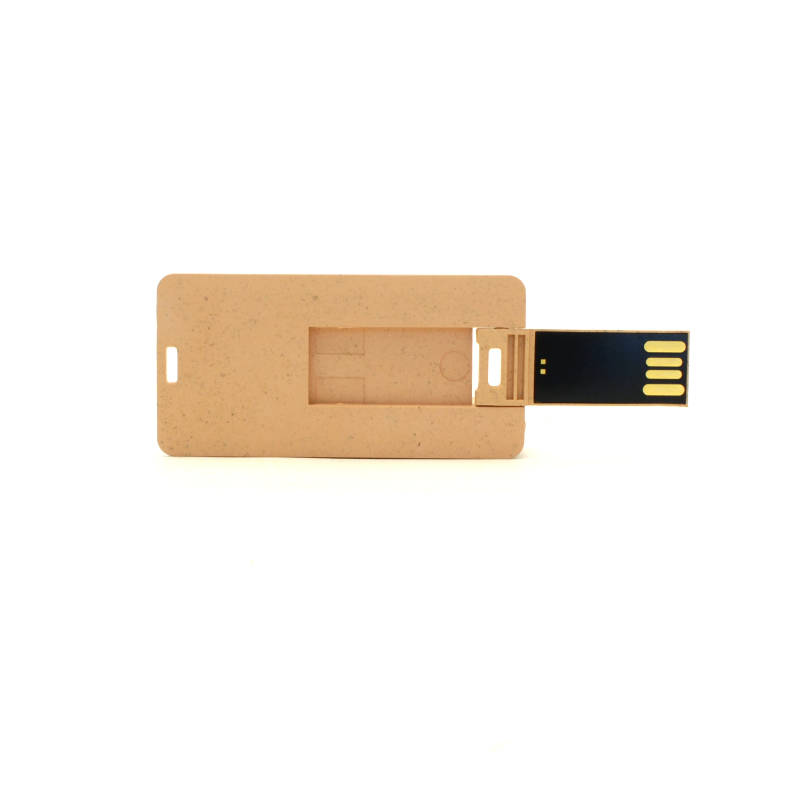 USB KARTICA TOPOL - slika 2